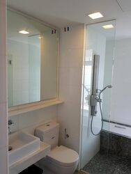 The Riverine By The Park (D12), Apartment #609173531